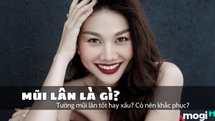 Mũi lân là gì? Ý nghĩa Mb6688 đang hoakt động
