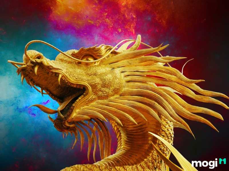 Người tuổi thìn sinh giờ tý cả đời thuận lợi