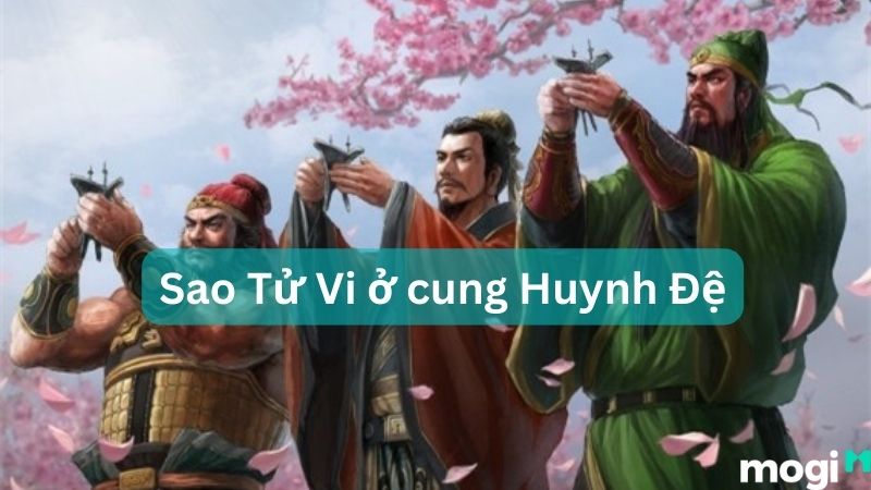 sao tu vi 11