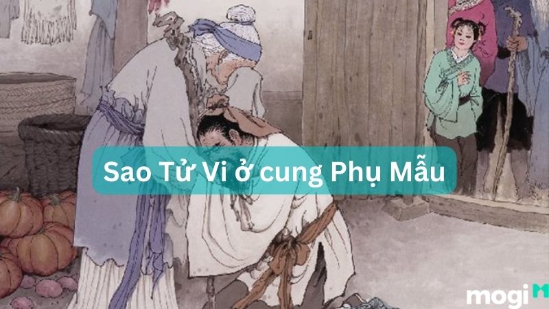 sao tu vi 12
