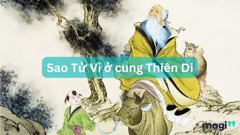 sao tu vi 13
