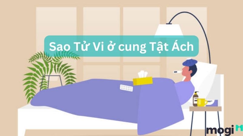 sao tu vi 14