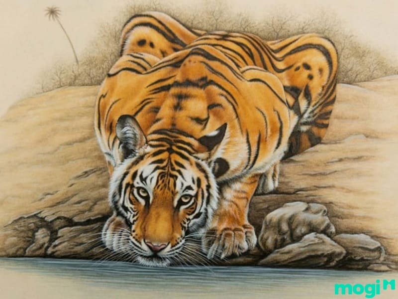 Giờ Dần là mấy giờ - người sinh vào giờ Dần cần lưu ý điều gì?