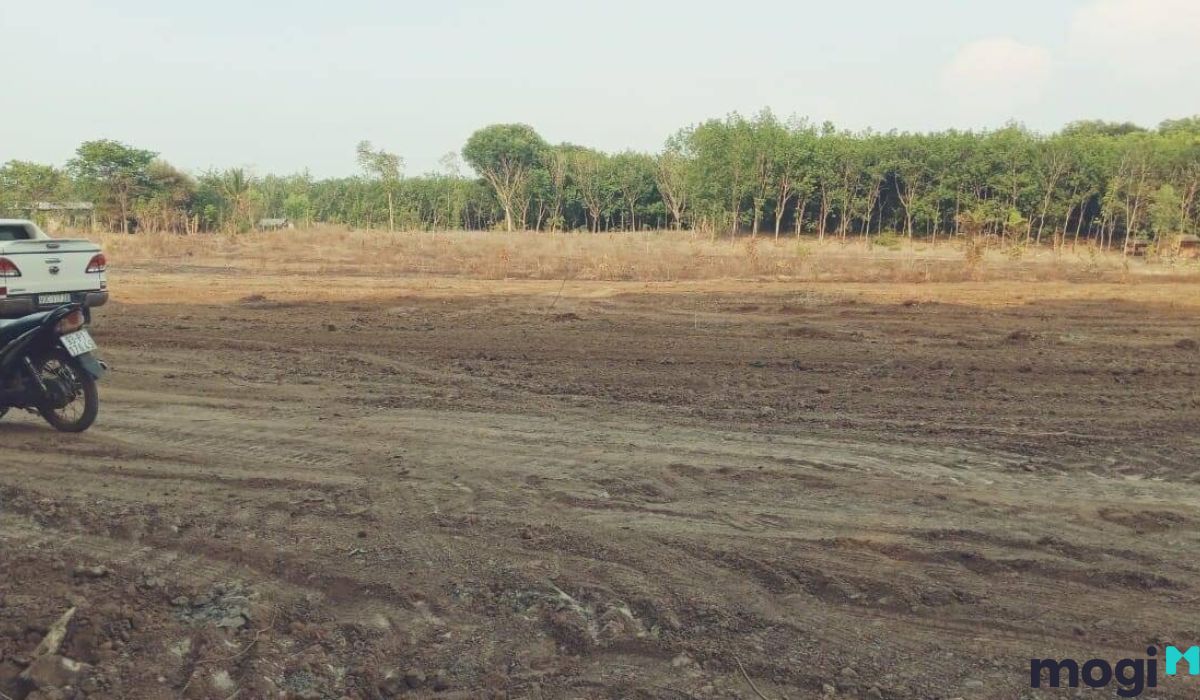 Lưu ý khi mua bán đất Cần Giuộc
