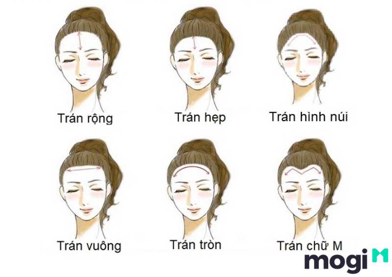 <strong>Xem Nhân Tướng Học Phụ Nữ Luận Đoán Hậu Vận Và Tính Cách</strong> 5 Luận đoán nhân tướng học phụ nữ dựa vào hình dáng của trán