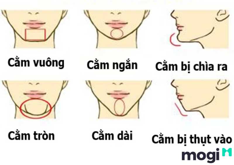 <strong>Xem Nhân Tướng Học Phụ Nữ Luận Đoán Hậu Vận Và Tính Cách</strong> 7 Luận đoán nhân tướng học phụ nữ dựa vào dáng cằm
