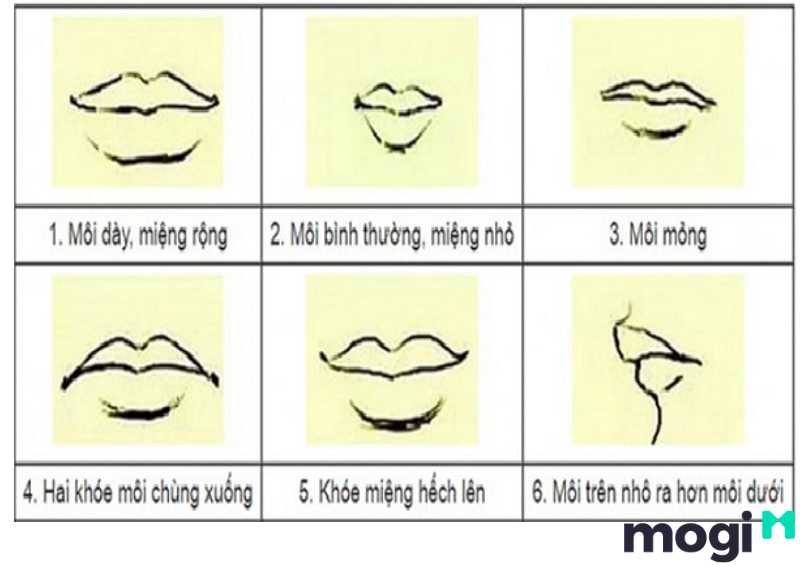 <strong>Xem Nhân Tướng Học Phụ Nữ Luận Đoán Hậu Vận Và Tính Cách</strong> 8 Luận đoán nhân tướng học phụ nữ dựa vào dáng môi