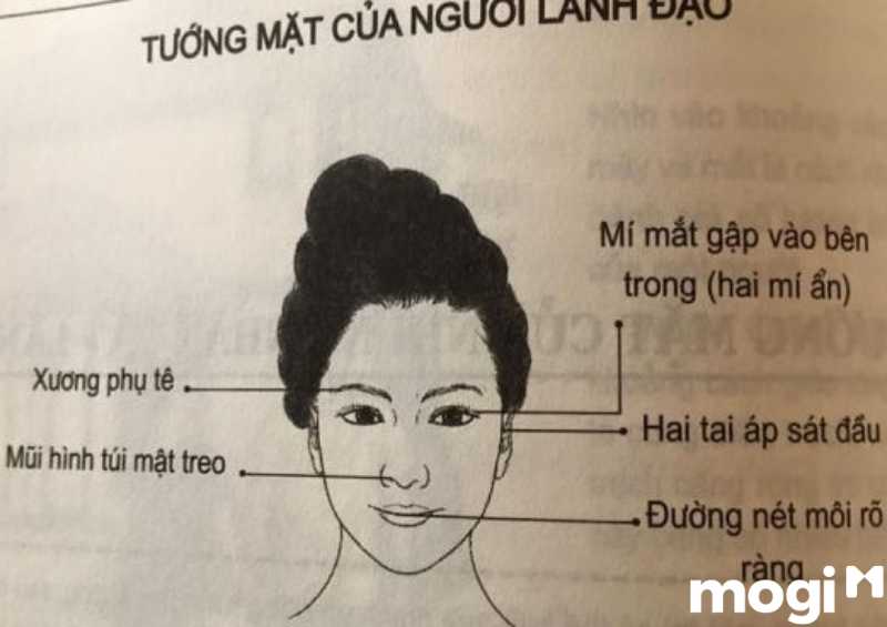<strong>Xem Nhân Tướng Học Phụ Nữ Luận Đoán Hậu Vận Và Tính Cách</strong> 12 Nhân tướng học phụ nữ có tướng mặt phụ nữ lãnh đạo