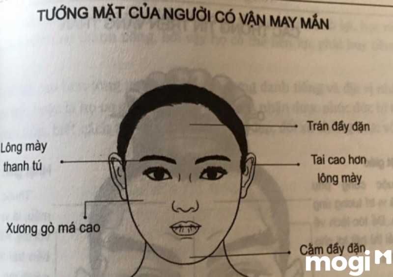 <strong>Xem Nhân Tướng Học Phụ Nữ Luận Đoán Hậu Vận Và Tính Cách</strong> 13 Nhân tướng học phụ nữ có tướng mặt phụ nữ may mắn