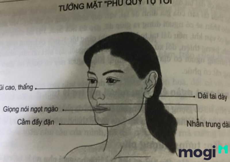 <strong>Xem Nhân Tướng Học Phụ Nữ Luận Đoán Hậu Vận Và Tính Cách</strong> 14 Nhân tướng học phụ nữ có tướng mặt phụ nữ giàu sang