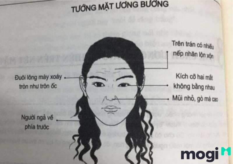 <strong>Xem Nhân Tướng Học Phụ Nữ Luận Đoán Hậu Vận Và Tính Cách</strong> 19 Nhân tướng học phụ nữ có tướng mặt bướng bỉnh