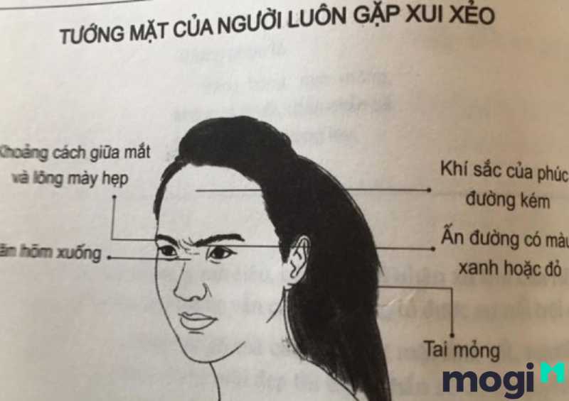 <strong>Xem Nhân Tướng Học Phụ Nữ Luận Đoán Hậu Vận Và Tính Cách</strong> 21 Nhân tướng học phụ nữ có tướng mặt xui xẻo