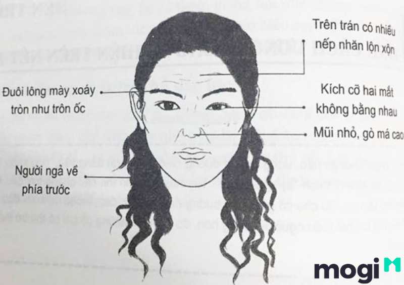 <strong>Xem Nhân Tướng Học Phụ Nữ Luận Đoán Hậu Vận Và Tính Cách</strong> 22 Nhân tướng học phụ nữ có tướng mặt sát phu