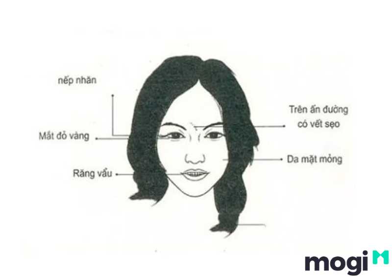 <strong>Xem Nhân Tướng Học Phụ Nữ Luận Đoán Hậu Vận Và Tính Cách</strong> 23 Nhân tướng học phụ nữ có tướng mặt cực khổ