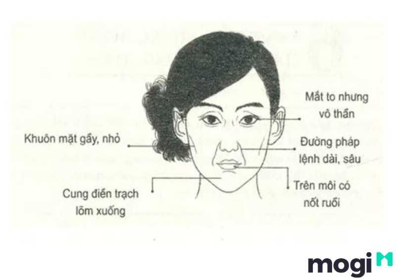 <strong>Xem Nhân Tướng Học Phụ Nữ Luận Đoán Hậu Vận Và Tính Cách</strong> 24 Nhân tướng học phụ nữ có tướng mặt cô độc