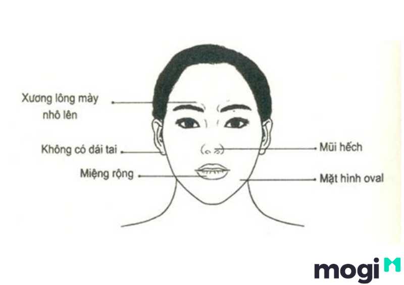 <strong>Xem Nhân Tướng Học Phụ Nữ Luận Đoán Hậu Vận Và Tính Cách</strong> 29 Nhân tướng học phụ nữ có tướng mặt sinh sự