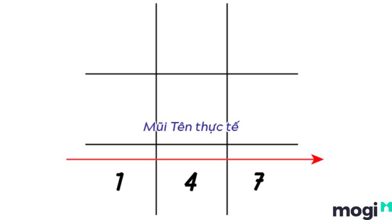Biểu
