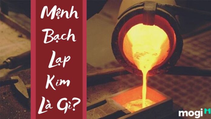 Bạch lạp kim là gì