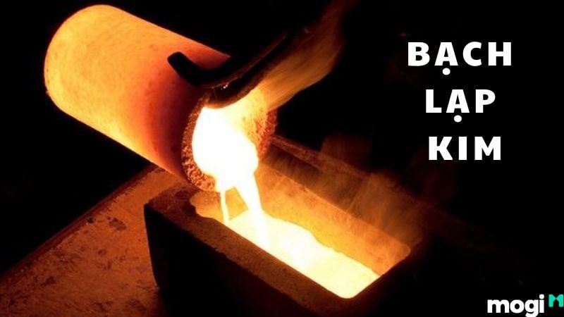 Bạch Lạp Kim Là Gì? Tìm Hiểu Tính Cách, Vận Mệnh, Hợp Mệnh nào? 1 Bạch lạp kim là gì