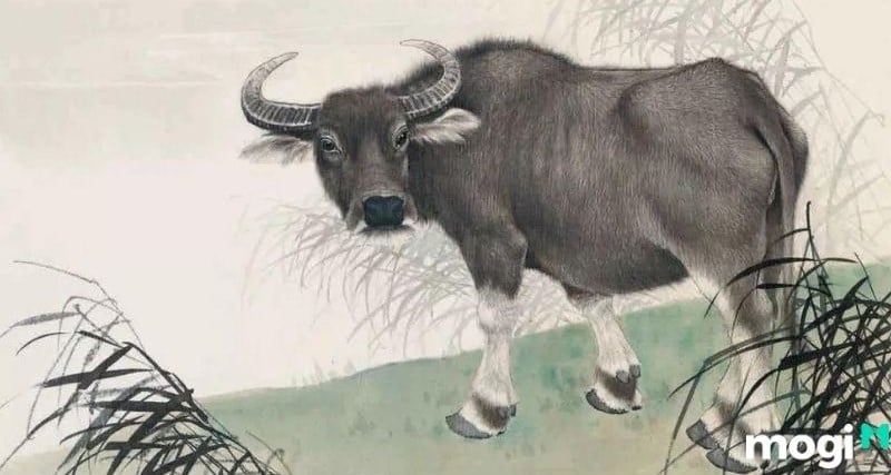 Giờ ngọ - tuổi sửu