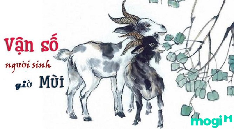 Giờ Mùi là mấy giờ? Vận số của người sinh giờ Mùi