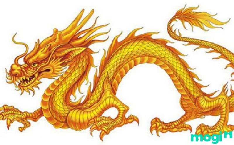 Giờ Mùi là mấy giờ? Tử vi của người tuổi Thìn sinh giờ Mùi