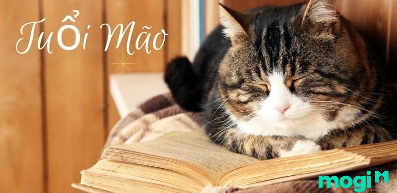 Giờ Mùi là mấy giờ? Tử vi của người tuổi Mão sinh giờ Mùi