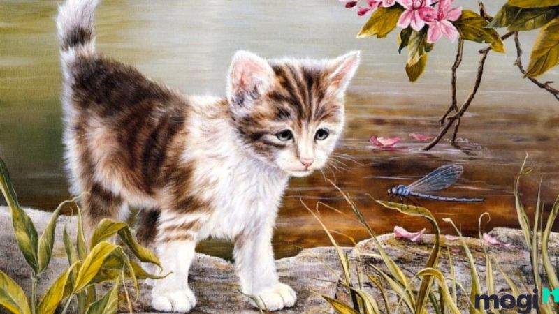 Giờ Mão là mấy giờ?