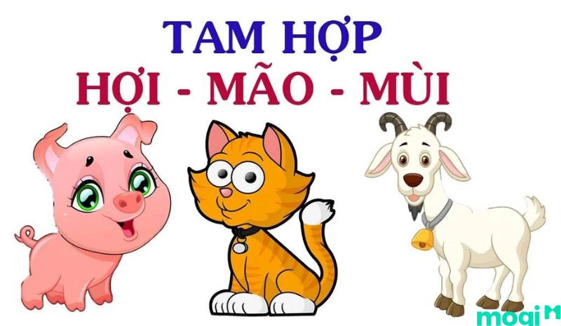 Tam hợp của tuổi Mùi