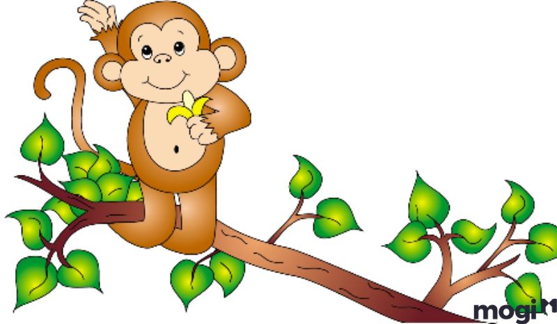 Giờ thân là mấy giờ - Tử Vi cho người tuổi Thìn sinh giờ Thân