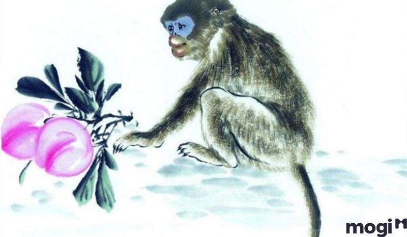 Giờ thân là mấy giờ - Tử Vi cho người tuổi Dậu sinh giờ Thân