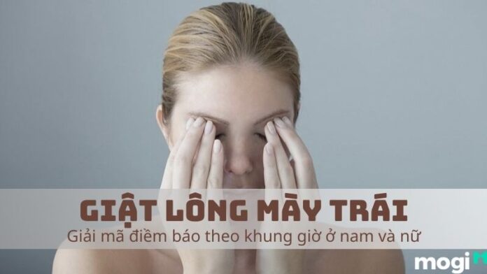 giật lông mày trái