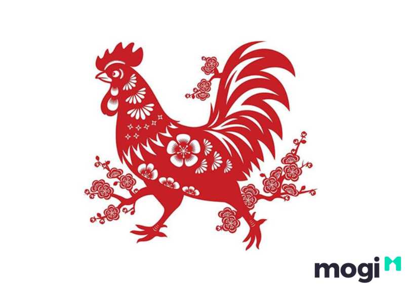 Giờ Dậu Là Mấy Giờ? Con trai sinh vào giờ dậu