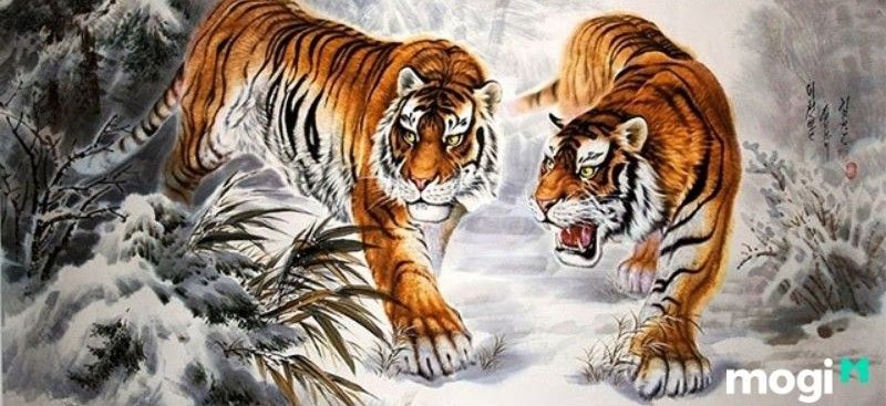 Giờ dần là mấy giờ? đặc điểm của nam giờ dần