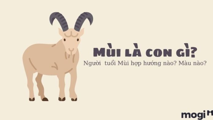 Mùi là con gì?