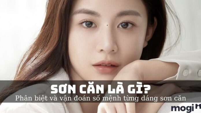 Sơn Căn Là Gì? Luận Giải Vị Trí, Đặc Điểm Chuẩn Xác Theo Nhân Tướng Học