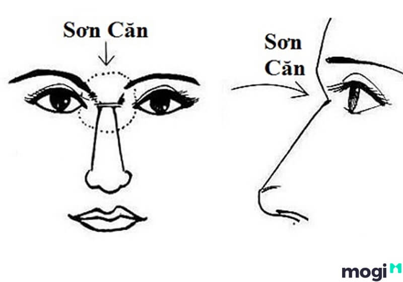 Vị trí của sơn căn