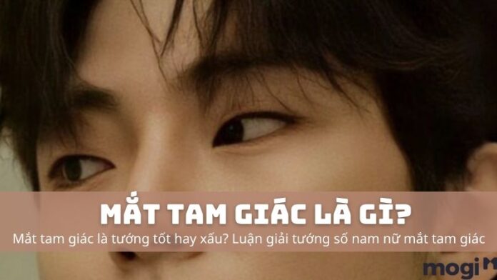 mắt tam giác