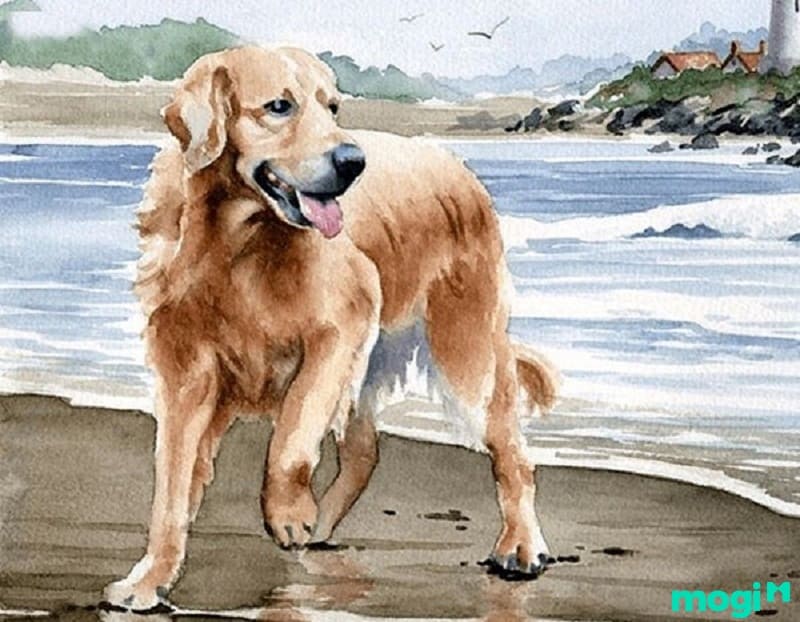 Đặc điểm người sinh giờ Tuất