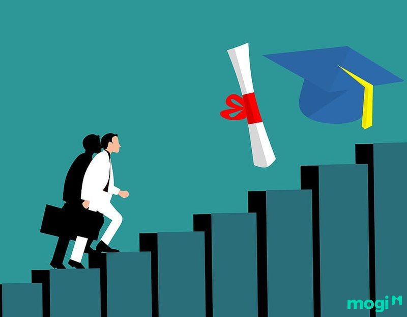 Ý nghĩa vân mắt phượng trong học tập