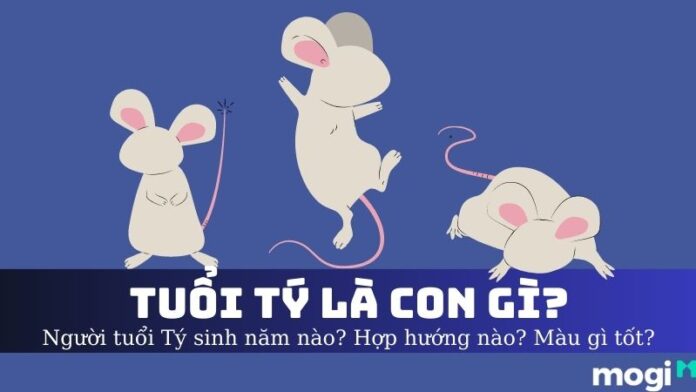 Tuổi Tý là con gì