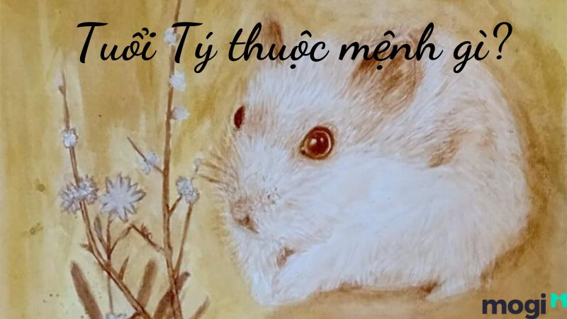 Tuổi Tý là con gì