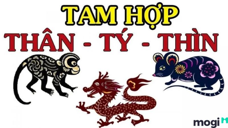 Tuổi Tý là con gì