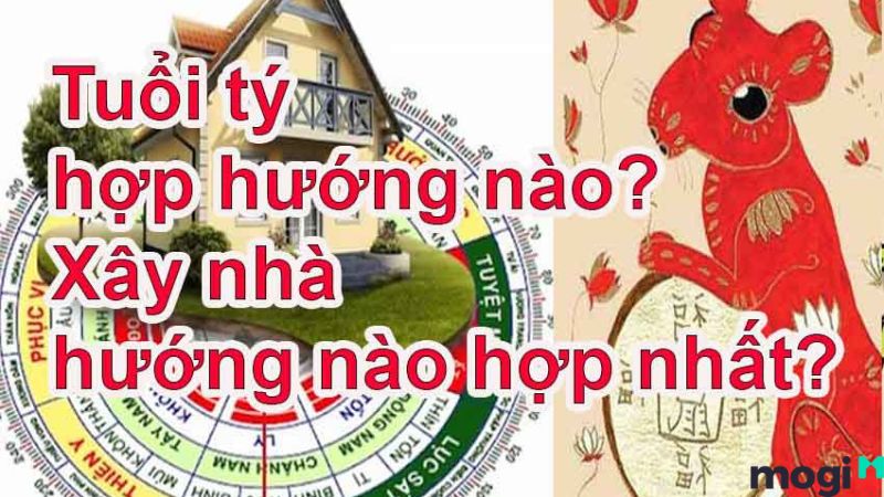 Tuổi Tý là con gì