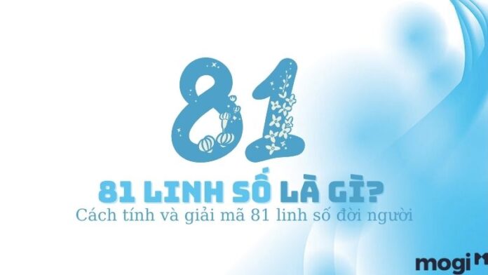81 linh số