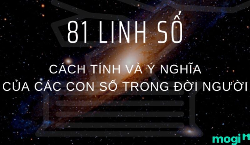 81 linh số trong Mb6688 đang hoakt động 