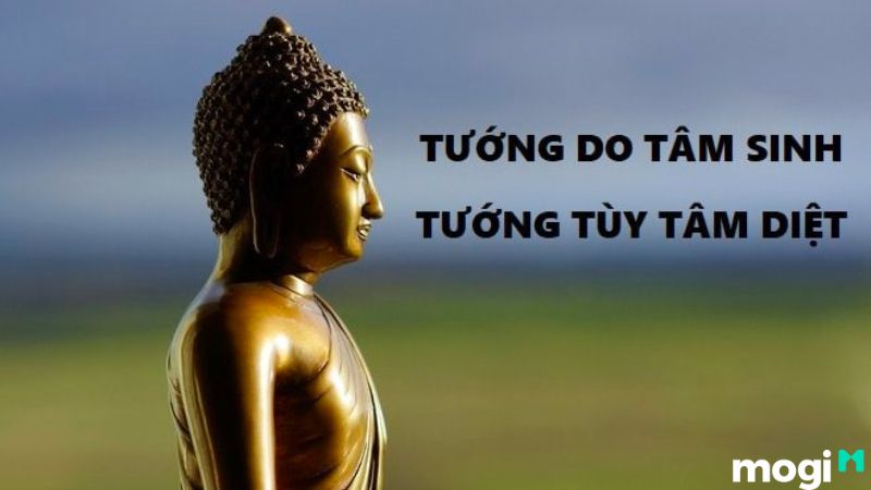 Tâm Sinh Tướng Là Gì? Có Thật Hay Không? 7+ Cách Đổi Tướng Cải Vận 1 Tâm sinh tướng