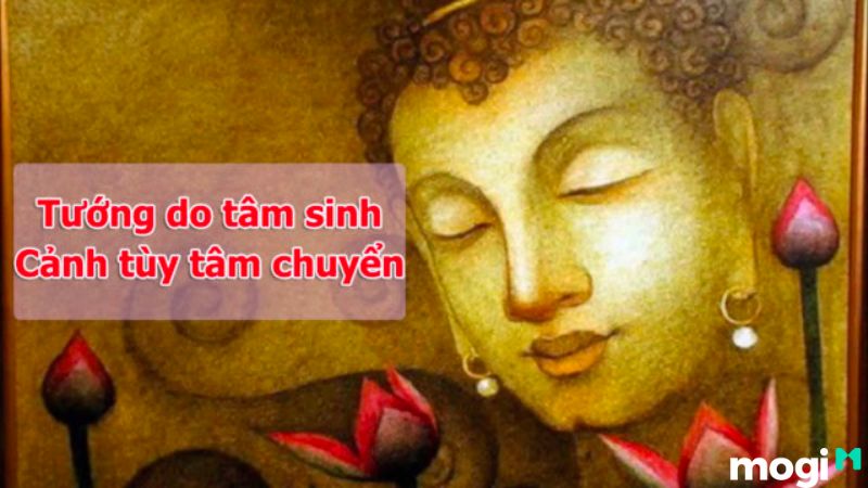 Tâm Sinh Tướng Là Gì? Có Thật Hay Không? 7+ Cách Đổi Tướng Cải Vận 3 Tâm sinh tướng