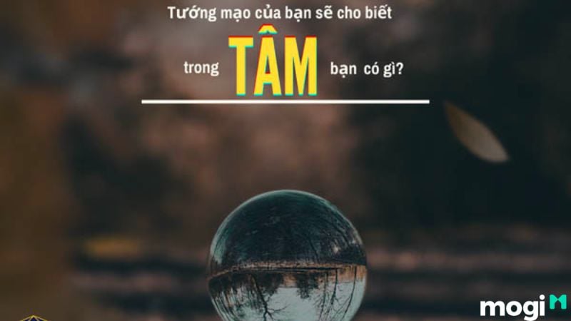 Tâm Sinh Tướng Là Gì? Có Thật Hay Không? 7+ Cách Đổi Tướng Cải Vận 5 Tâm sinh tướng