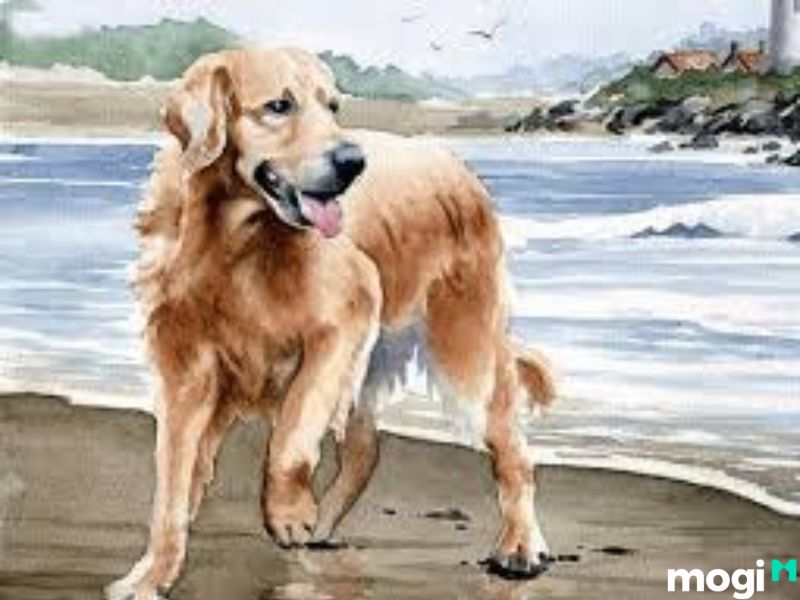 giờ hợi là mấy giờ